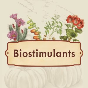 Pflanzenbiostimulanzien